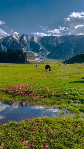 K A S H M I R 🥰⛰️#sonmarg #gulmarg #kashmir #kashmirtourism #reels