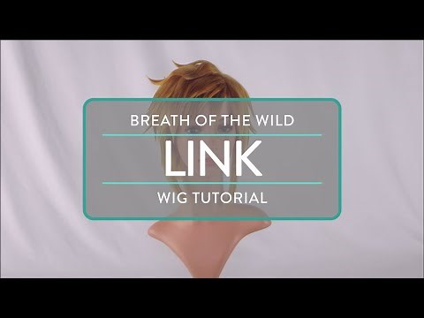 Breath of the Wild: Link Wig Tutorial
