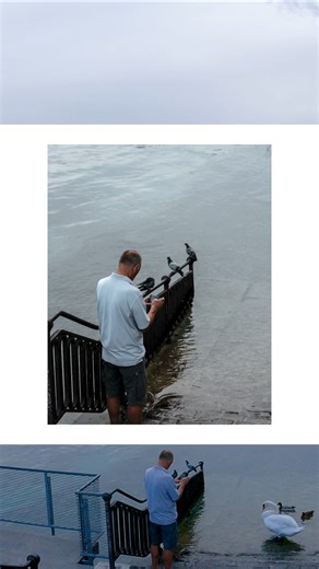 Sometimes photography composition is luck