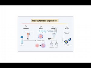 Navigating the Intricacies of Intracellular Flow Cytometry_ Key Considerations