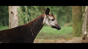 1.9K reactions · 338 shares | Et si la musique avait un impact sur le...