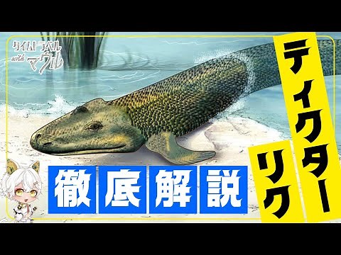 【古生物学】ティクターリク完全ガイド！魚から陸へ進化の瞬間を8分で解説【ゆっくり解説】