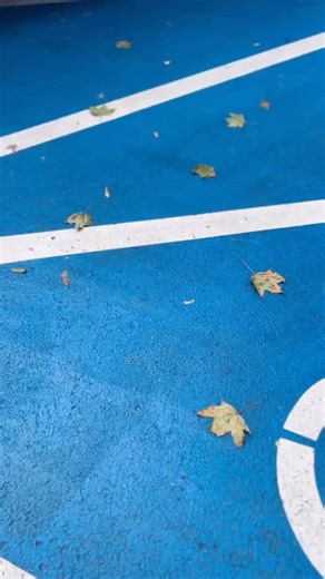 ‼️Service Alberta and Red Tape Reduction is engaging with internal and external stakeholders to explore how to improve the Parking Placards and Plates Program. ✨ 💥They created a stakeholder survey that will close on January 9, 2026, share your thoughts today! ✨Fill out the survey by clicking the link: https://www.alberta.ca/parking-placards-and-plates-for-persons-with-disabilities-external-survey | Spinal Cord Injury Alberta