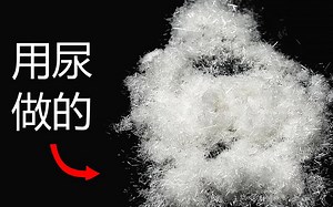 [NileRed]把尿变成药[中英cc字幕]