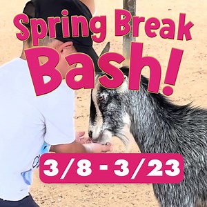 Looking for a Spring Break adventure beyond the city?  Take a road trip to Animal World & Snake Farm Zoo in New Braunfels—just a short drive from Houston! Meet exotic animals, feed camels, watch live shows, and enjoy hands-on experiences for the whole family! | Animal World & Snake Farm Zoo | Facebook