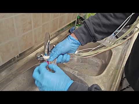 EEG Biosemi Equipment Removal and Mantainance