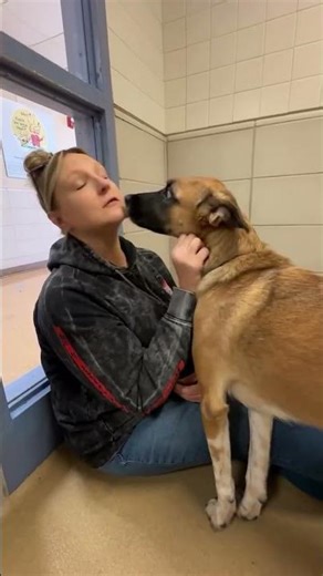 Meet this week’s #hogdog, Bella!