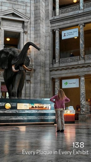 Your Digital Docent on Instagram: "Exhibit 138 | Rotunda & 2nd floor balcony | Museum of Natural History . 🏛National Museum of Natural History 📍Washington DC 🕑10:00 - 5:30 🎟Free, No Tickets Required . Challenge Background. If you're new here I started my Every Plaque Every Exhibit series right around this time last year because I needed structure, ( Hence a long challenge) and wanted to in some small way add value to a world so full of noise. I'm such a huge proponent of learning and curiosi