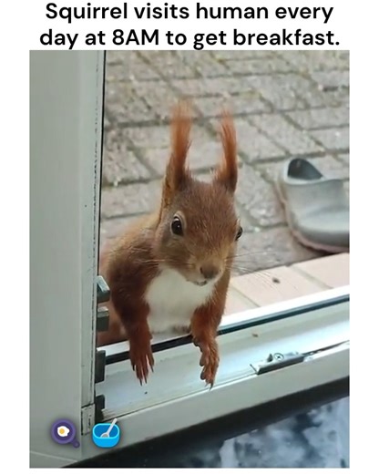 3.3M views · 126K reactions | Breakfast time!  | We Are Nature | Facebook