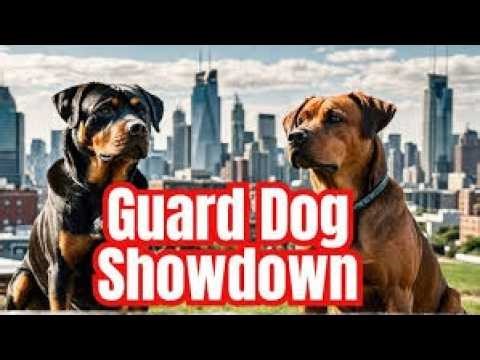 The Real Difference Between Rottweiler and Rhodesian Ridgeback Dogs