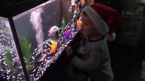 17K views · 536 reactions | Happy Holidays from everyone at ATM. This will make you smile. | ATM Acrylic Tank Manufacturing | Facebook