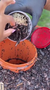 The Most Advanced Vertical Gardening System Recommended By Even CNN. ⭐⭐⭐⭐⭐ ​ 🥕 Grow up to 50-plants 🏞️ Only requires 4 square feet 📦 Perfect for patios, balconies & rooftops 🐛 Integrated vermicomposting system allows turning kitchen waste into nutrient-rich compost. ♻️ Made from food-grade, recyclable materials. 🚫 Elevated design helps keep pests at bay. ⚡ No electricity required 💦 Water recycling system and lost nutrients recovery 🌞 Rotates for even sunlight distribution 🕑 Save time and