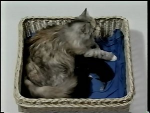 See How They Grow Volume 1