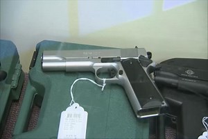 State report suggests new policies to combat gun violence and self-harm