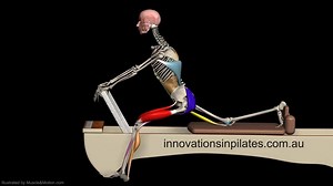 38K views · 404 reactions | Pilates anatomy geeks! Enjoy this animation. Note the hamstrings, glute max, hip flexors and "retaining wall" role of the abdominals as well in maintaining a neutral pelvis. | Pilates Kinesiology | Facebook