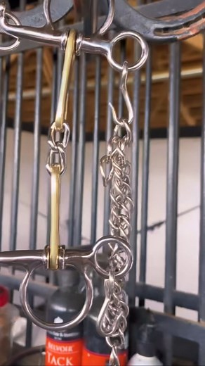 We LOVE our new ProSeries Pelham bit! Get yours for your equitation horse today! #EHI #EnjoyTheRide #equitation #derby #ushja #usef #horses #bit #ProSeries #wellington #tackshops #getyourstoday #new #productsthatwork #products #smallbusiness | Equine Healthcare International | Facebook
