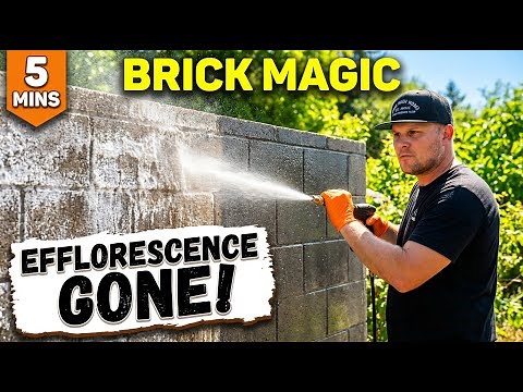 How To Remove Efflorescence & Calcite From Brick and Block