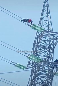 220.KV | Electrical Transmission Line