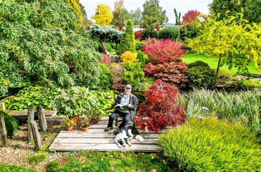 Pensioner’s spectacular ‘four seasons’ garden bursts into autumnal colour