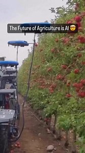 Tevel Aerobotics, a startup company, has developed a drone for harvesting fruit. These airborne robots employ artificial intelligence to selectively pick ripe apples. What are your thoughts? Repost via agricultureworld 🎥 by canal.mutuo | Earn Your Leisure