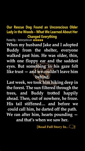 Our rescue pup's secret: an underdog with a wild heart, full of love and adventure. Never give up—heart like his can move mountains! ❤️ #RescueLove #StayStrong | Story Corgi | Facebook