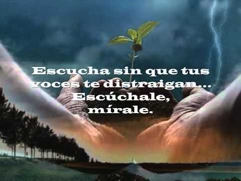 NADA TE TURBE, NADA TE ESPANTE. (MEDITACIÓN)