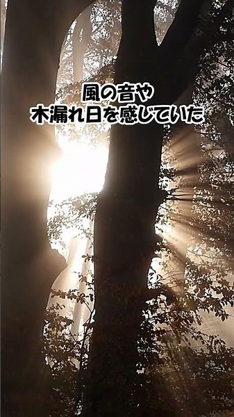 【心ほぐれる10分】風を感じる世界の美しい山々｜作業・リラックス用BGM【音声なし】 #作業用bgm #自然 #風景 #山