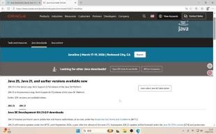 MC Java版模组服游玩全流程