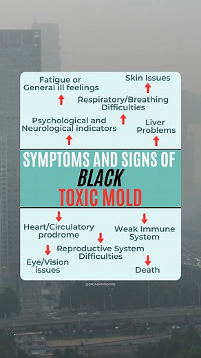 1.2K views · 13 shares | Mold toxicity refers to the adverse health effects that can occur when individuals are exposed to high levels of mold or mold spores. Mold is a type of fungus that can grow in damp and humid environments, such as homes, buildings, and other structures. While most types of mold are harmless, certain species can produce toxins known as mycotoxins, which can be harmful when inhaled, ingested, or come into contact with the skin! | Dr. Jaban Moore | Facebook