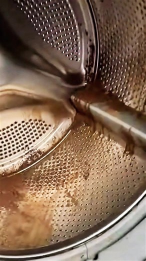 Essential Tips for Maintaining Your Washing Machine