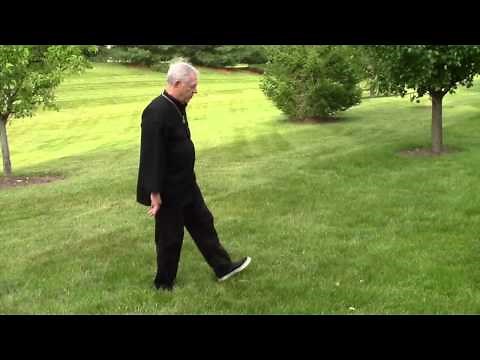 5 Elements Tai Chi Lesson 1 82714