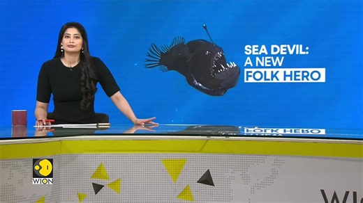 Deep-sea Anglerfish spotted on ocean's surface