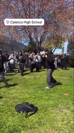 6.6K views · 16 reactions | That’s one way to diffuse a situation lol #fblifestyle | John Stessel | Facebook