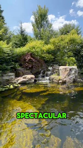 13K views · 201 reactions | Checking in on a project we built 7 years ago?!?!This amazing Recreational Pond continues to get better and better with time….That’s the beauty and allure of creating Living Systems! Team Aquascape Greg Wittstock the Pond Guy | Ed The Pond Professor | Facebook