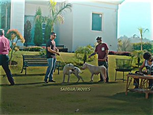 #punjabimovies, #newpunjabimovies, #toppunjabimovies, #hitpunjabimovies, #punjabimovies2025fullmovie