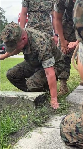 US Army Ant Test Training #shorts