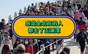 感觉全北京的人都去了玉渊潭
