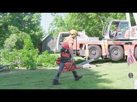 What Makes All-Pro Tree Service Different?