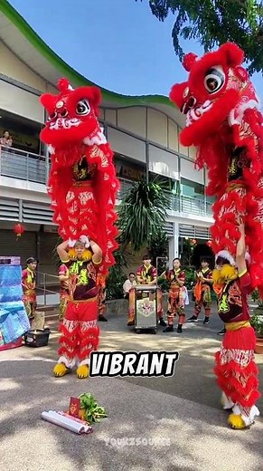 Lion Dance Chinese New Year Festival 🐉