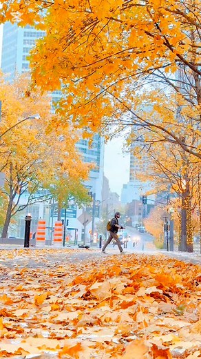 18K views · 516 reactions | Hello Winter ❄️️ It’s officially snowing in Montréal  First day of snow ❄️ #snowfall #fallandwinter #montreal #SnowSeason #cinematic | Rhealyn Miranda | Facebook