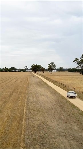 African Love Grass is a highly flammable noxious weed that spreads easily through transport and stock movements. It is difficult to treat, burns with extreme intensity and can quickly regrow after rain and warmth. With hotter weather ahead, it’s important to understand how grass fires could impact you. Learn more at www.rfs.nsw.gov.au/grassfires | NSW Rural Fire Service