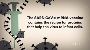 What are mRNA vaccines?