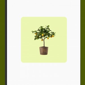 Unifiez votre boutique physique et en ligne pour vous connecter avec plus de personnes. Où que vous vendiez. | Shopify | Facebook