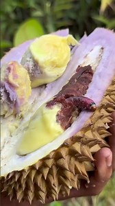 Durian banyak😱 #fruit #food #satisfying #youtubeshorts #nature #amazing
