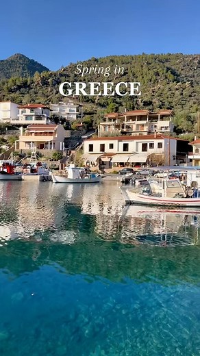 Spring in Greece 🌸🩵 🎥: konstantina_ign (TT) #SpringInGreece #March #Greece #SpringVibes | Greek City Times