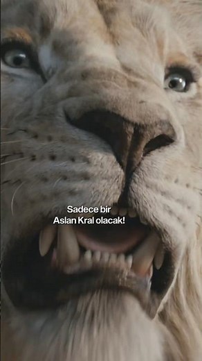 Haydi Yeni Bir Krallık Kuralım! | Mufasa: Aslan Kral