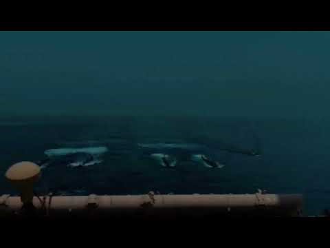 🌊 Beautiful Ship Views with Nature | Life at Sea 🚢✨