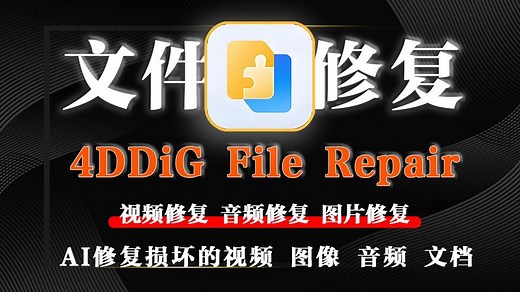 视频修复、图片修复、音频修复、文档修复，一款软件全搞定！超省心！_哔哩哔哩_bilibili