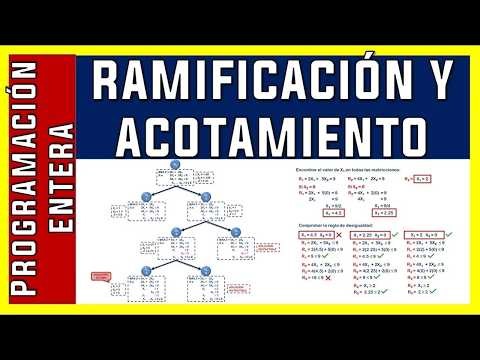 Programación Entera [Ramificación y Acotamiento] Ejercicio 2
