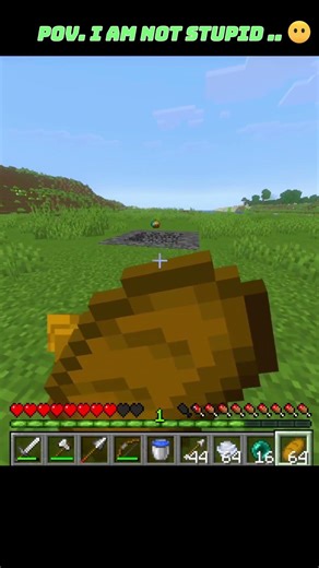 POV: I Am NOT Stupid in Minecraft 😂🔥